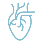 icon-cardiologia
